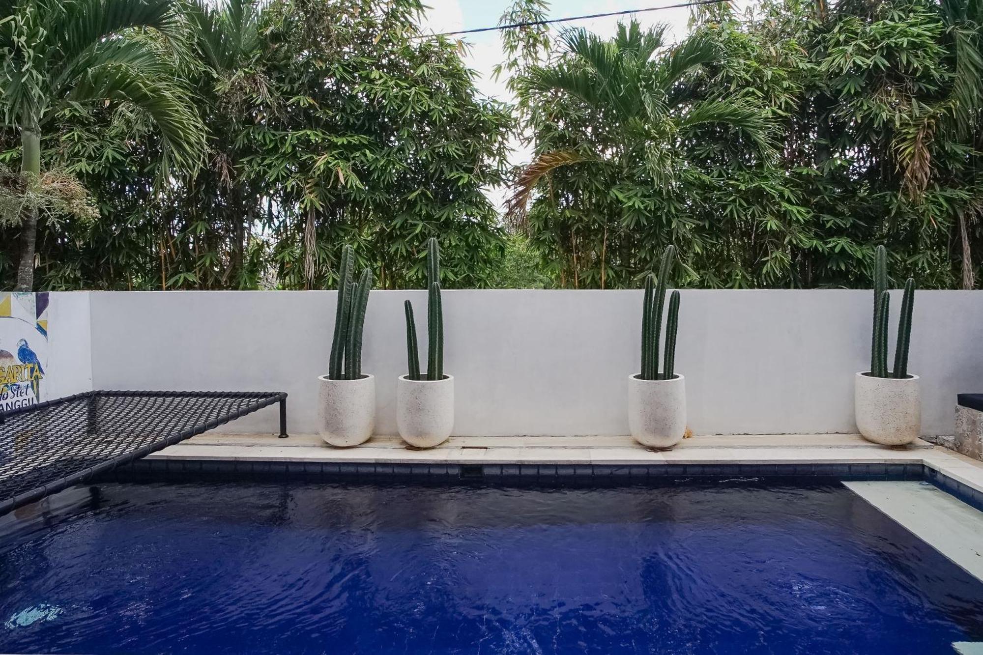 Margarita Surf Hostel Canggu Εξωτερικό φωτογραφία